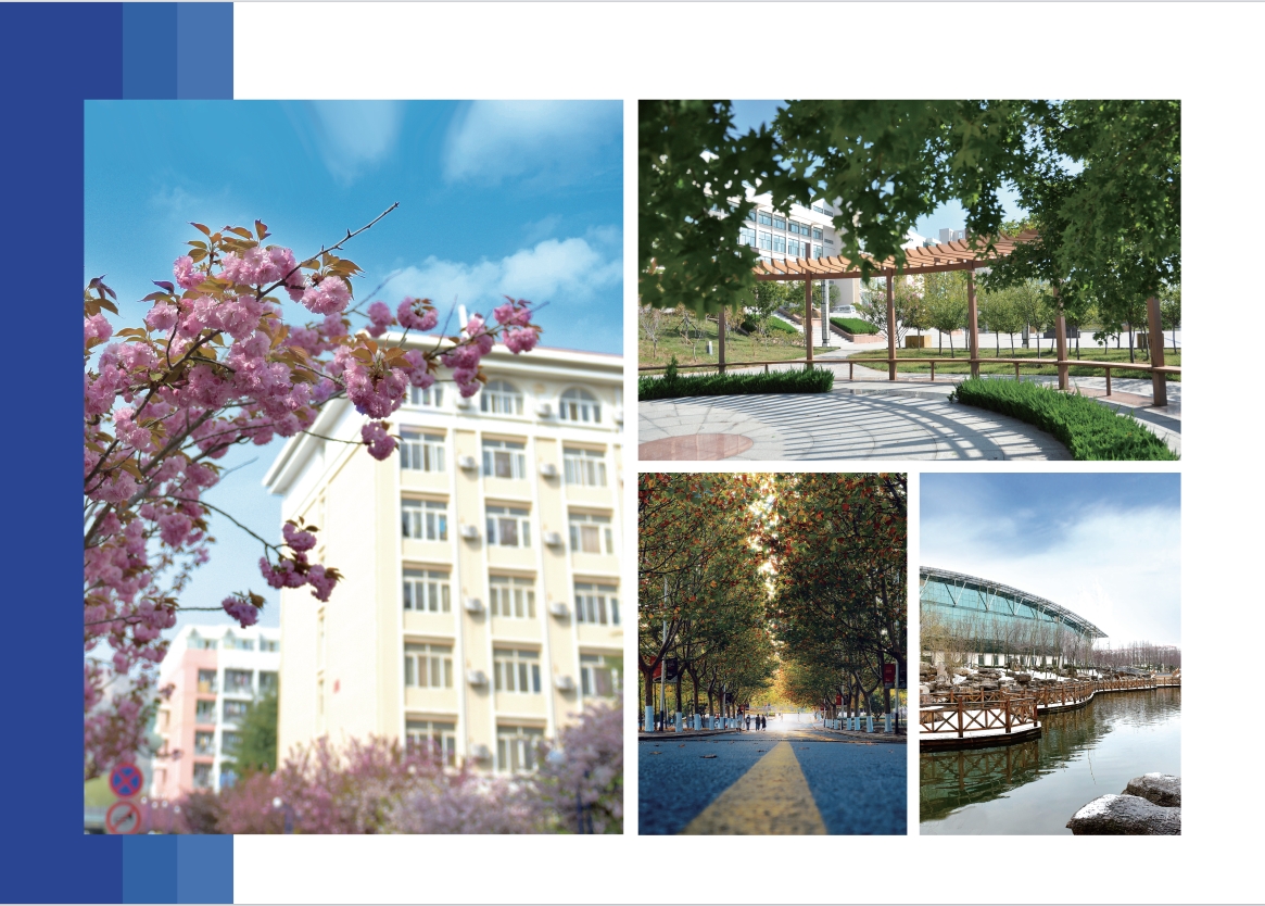 2023年青岛黄海学院宣传册